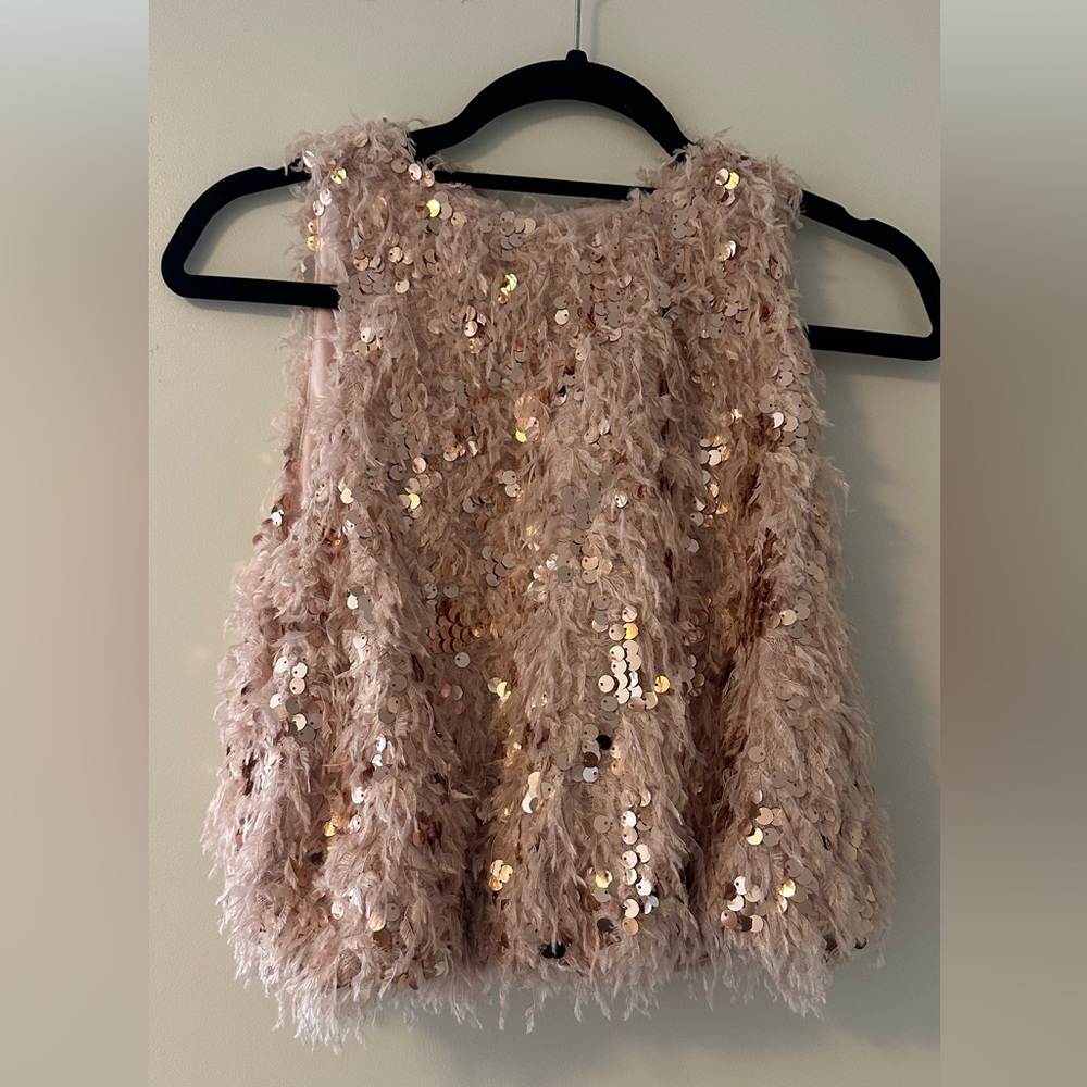 Zara Sequined and Feathered Top